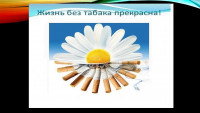 17 ноября - Международный день отказа от курения