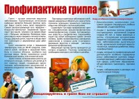 Месячник «Профилактика гриппа» Месячник «Профилактика гриппа»